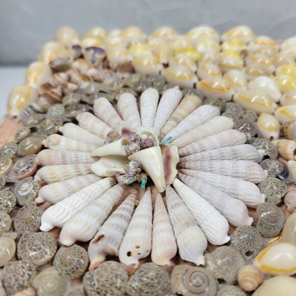 Vintage Shell Jewelry Box Satin Lined Handmade Coastal Trinket Organizer 12.5” - Picture 15 of 16